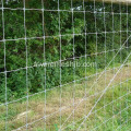 Clôture pour réseau Kraal galvanisé à chaud avec clôture de prairie